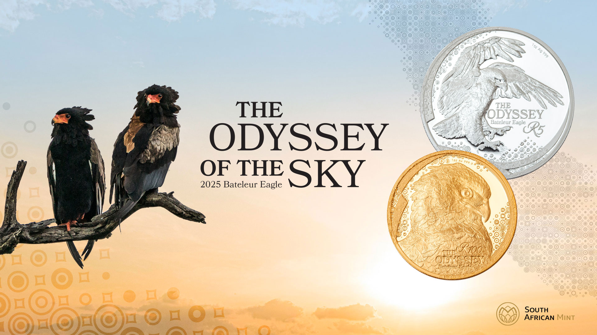 Odyssey of the Sky key visual in gold and silver for the South African Mint, by Druff Agency Pretoria